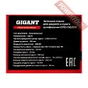 Заточной станок GIGANT Professional GPES-150/200